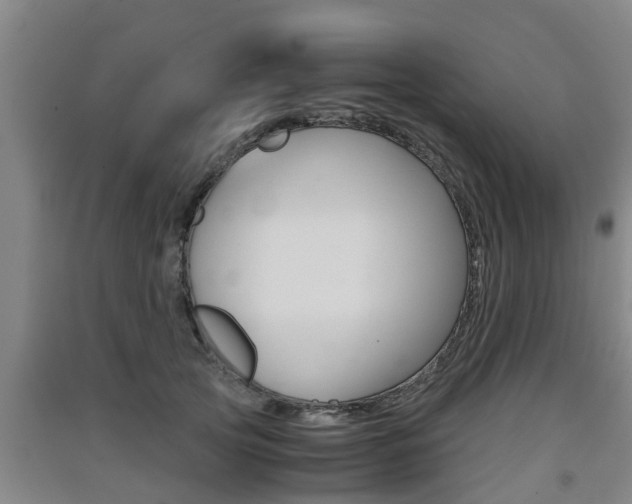 X0000091550753200708171040