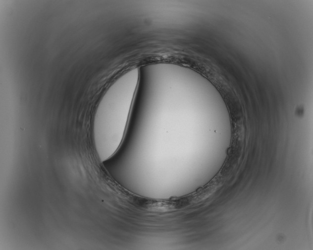 X0000091550754200708171040