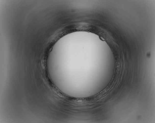 X0000091550755200708171040