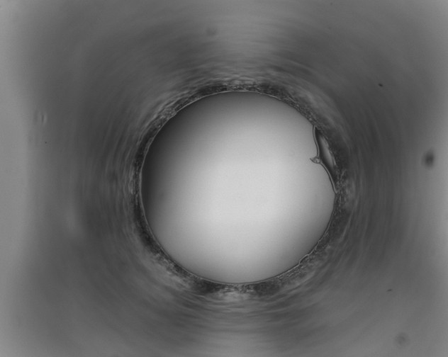 X0000091550756200708171040