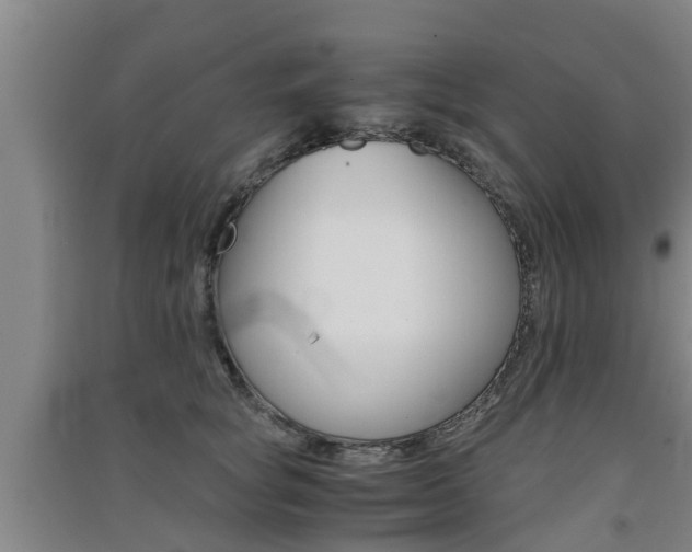 X0000091550757200708171040