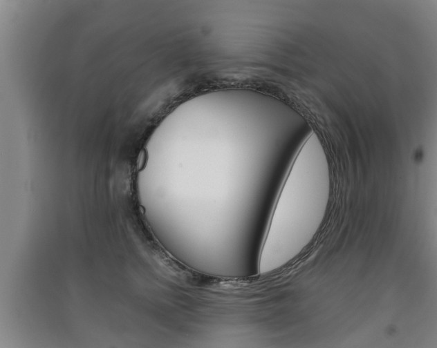 X0000091550758200708171040