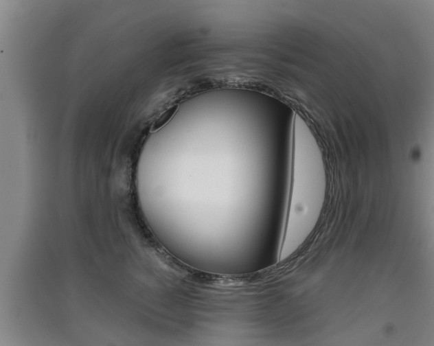 X0000091550760200708171041