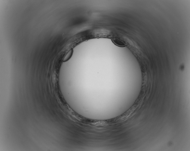 X0000091550761200708171041