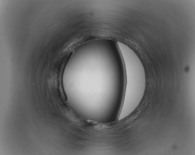 X0000091550762200708171041