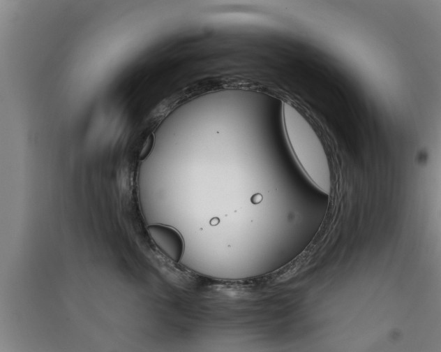 X0000091550763200708171041