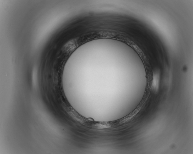 X0000091550765200708171041