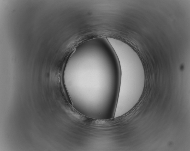 X0000091550766200708171041