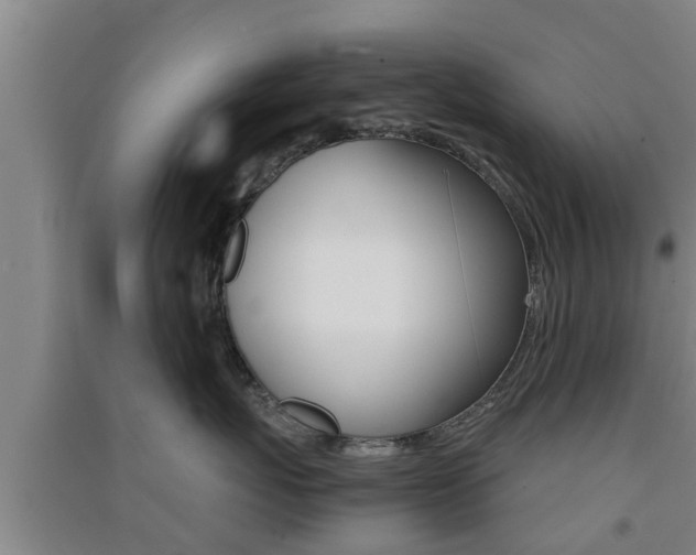 X0000091550767200708171041