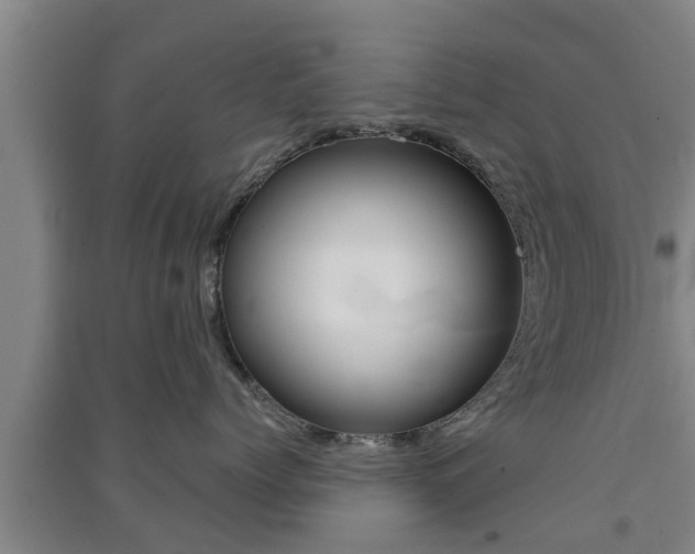 X0000091550768200708171041