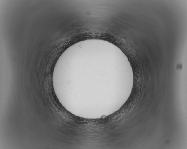 X0000091550769200708171040