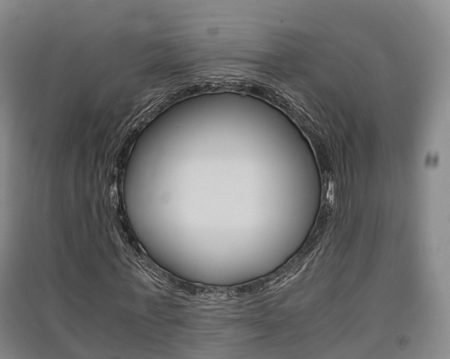 X0000091550771200708171040