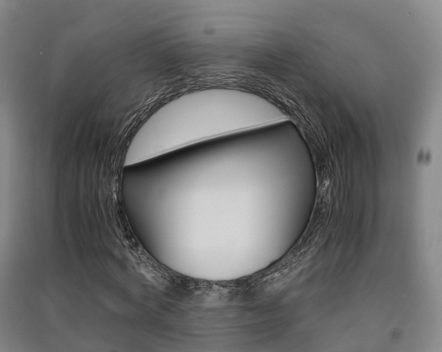 X0000091550772200708171040