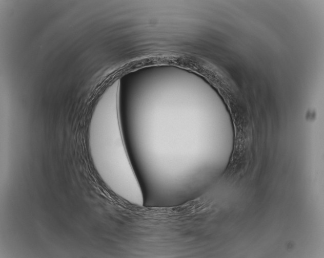 X0000091550773200708171040