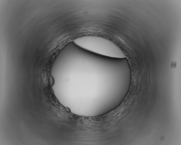 X0000091550774200708171040
