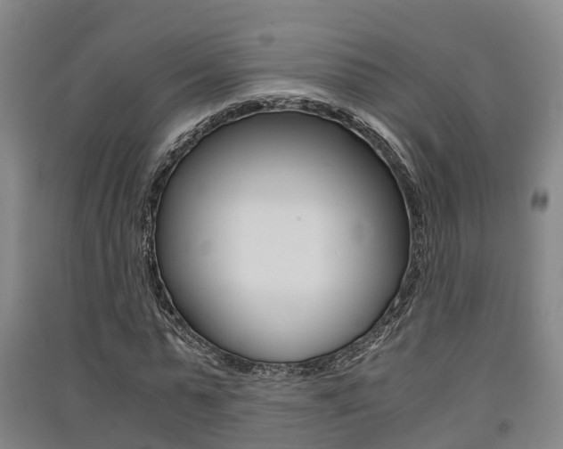 X0000091550775200708171040