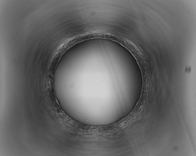 X0000091550776200708171040