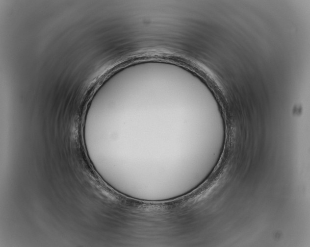 X0000091550778200708171040