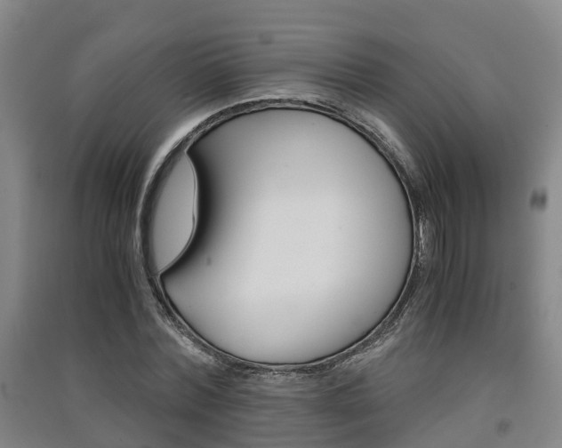 X0000091550780200708171040