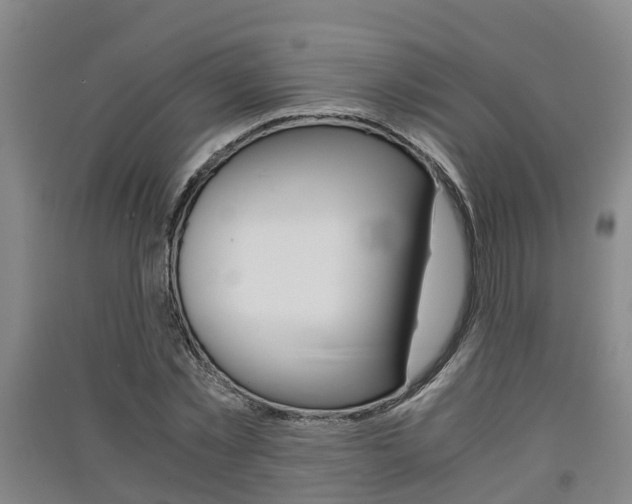 X0000091550781200708171040