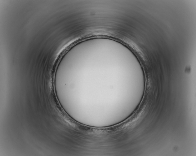 X0000091550782200708171040