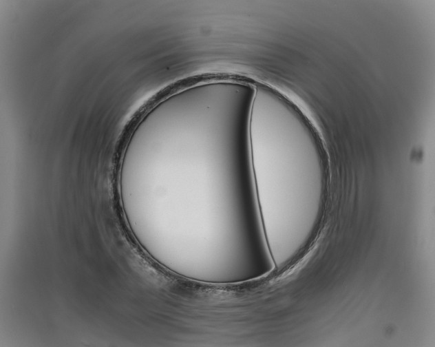 X0000091550783200708171040
