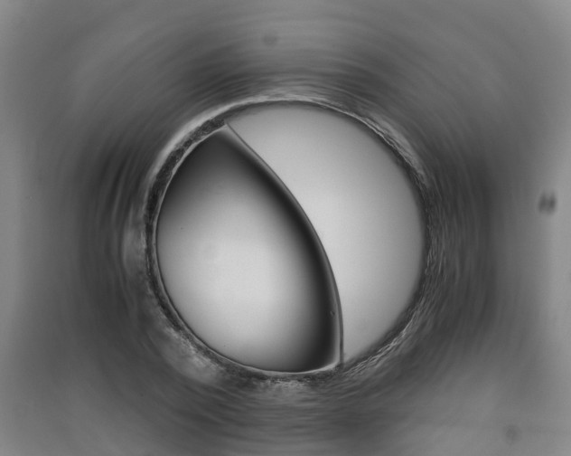 X0000091550784200708171040