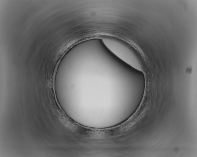 X0000091550785200708171040