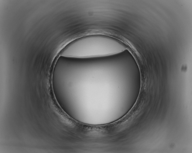 X0000091550786200708171040