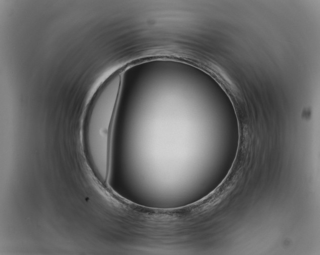 X0000091550788200708171040