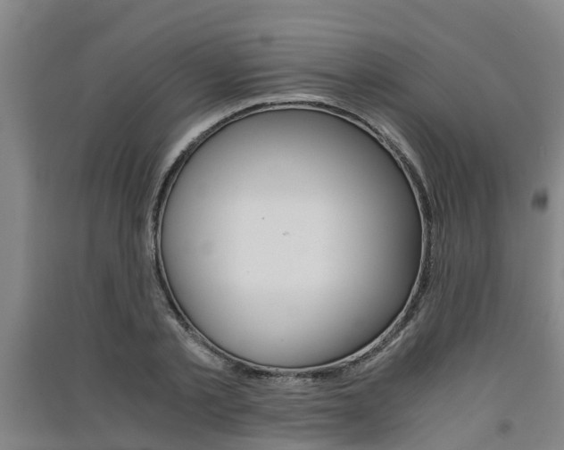 X0000091550789200708171040