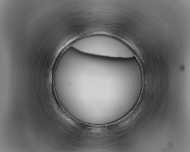 X0000091550790200708171040