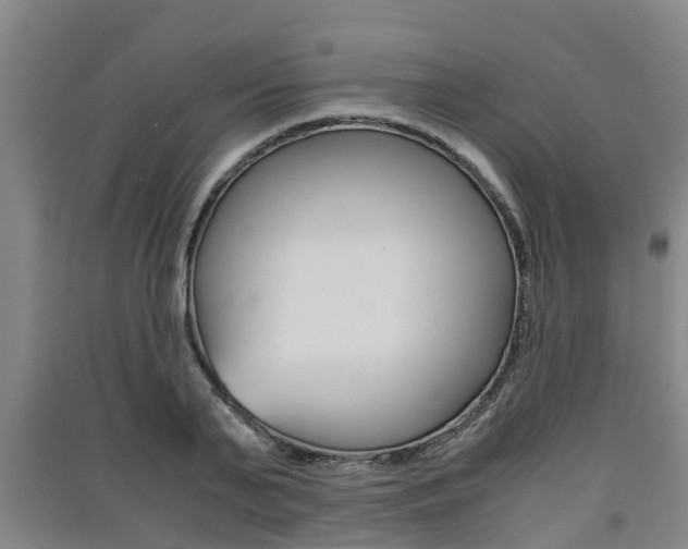 X0000091550791200708171040