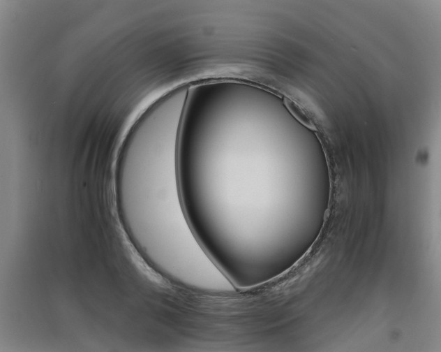 X0000091550792200708171040