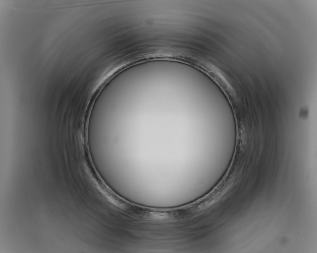 X0000091550794200708171040
