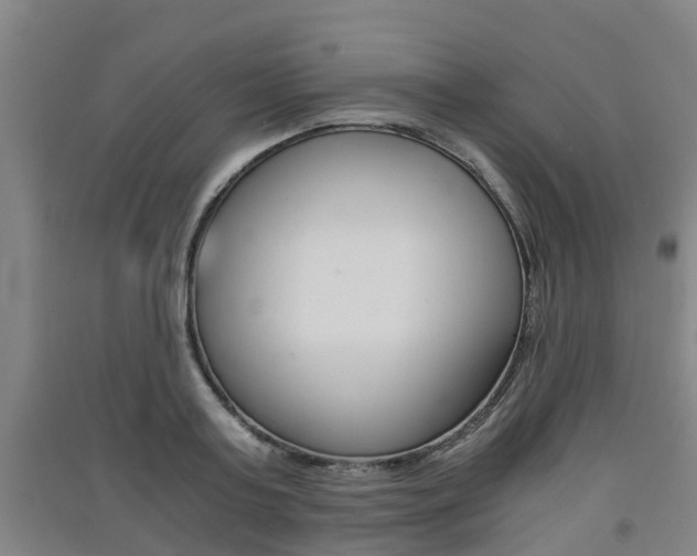 X0000091550795200708171040