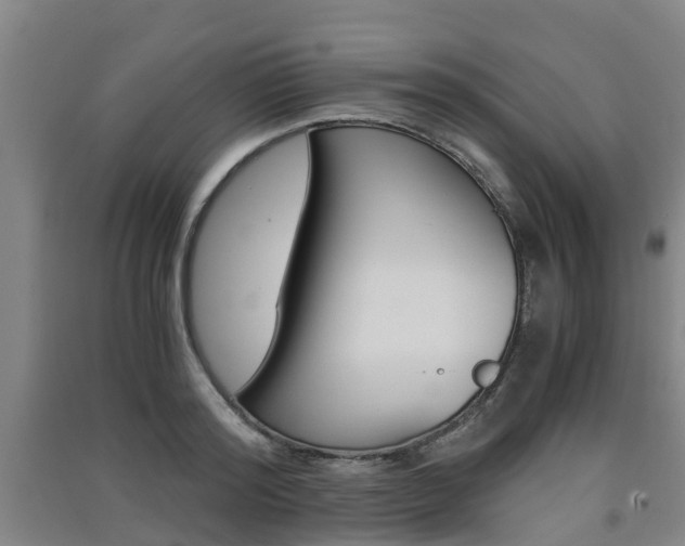 X0000091550796200708171040