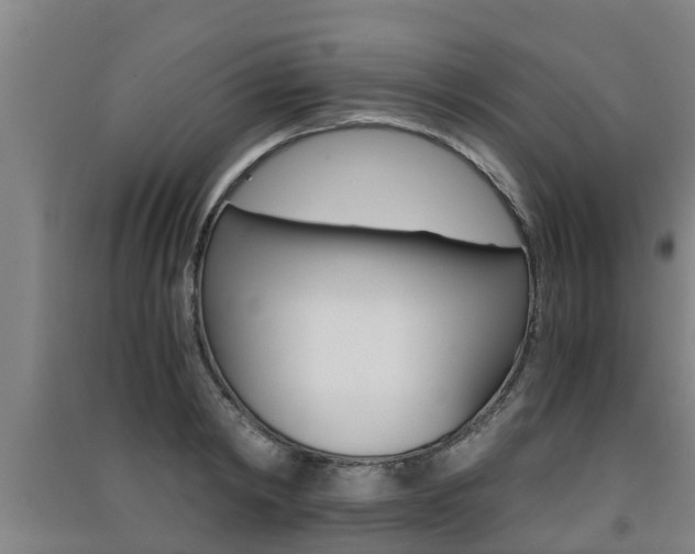 X0000091550798200708171040