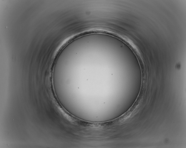 X0000091550799200708171040