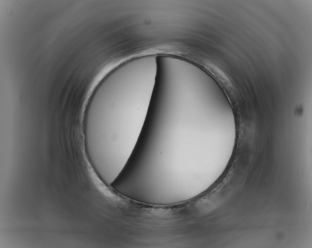 X0000091550800200708171040