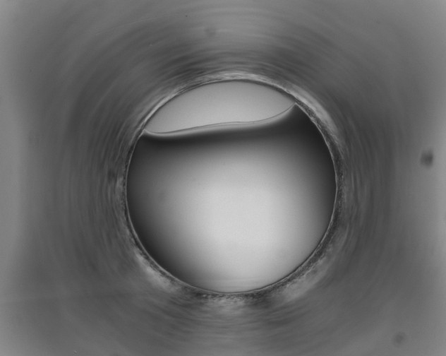 X0000091550801200708171040