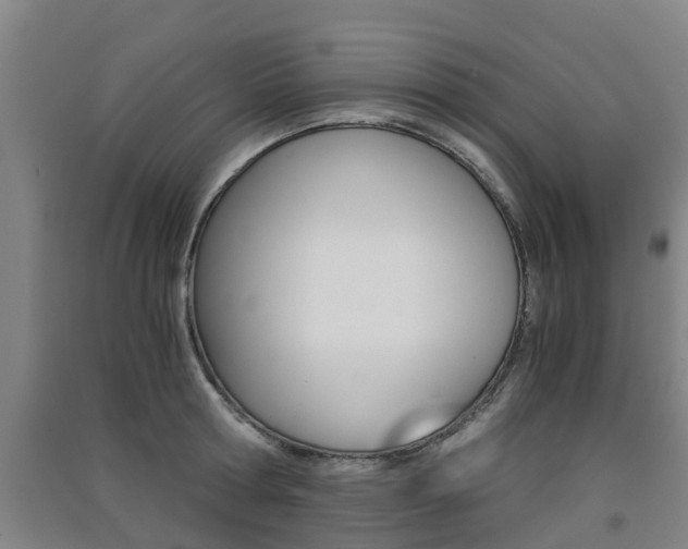 X0000091550802200708171040