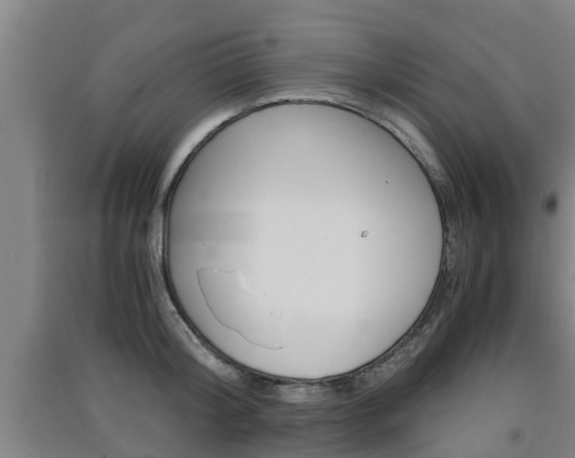 X0000091550804200708171040