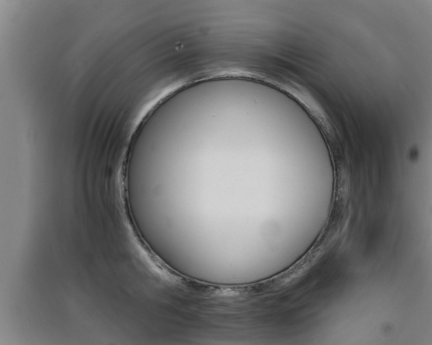 X0000091550806200708171040