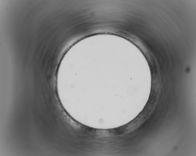 X0000091550807200708171040