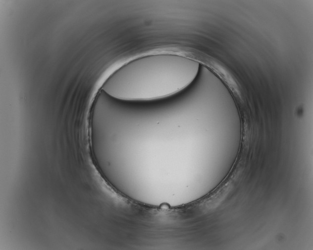 X0000091550808200708171040