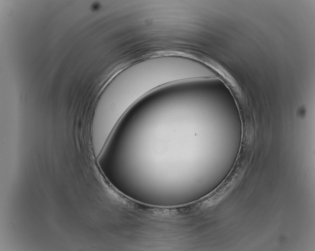 X0000091550809200708171040