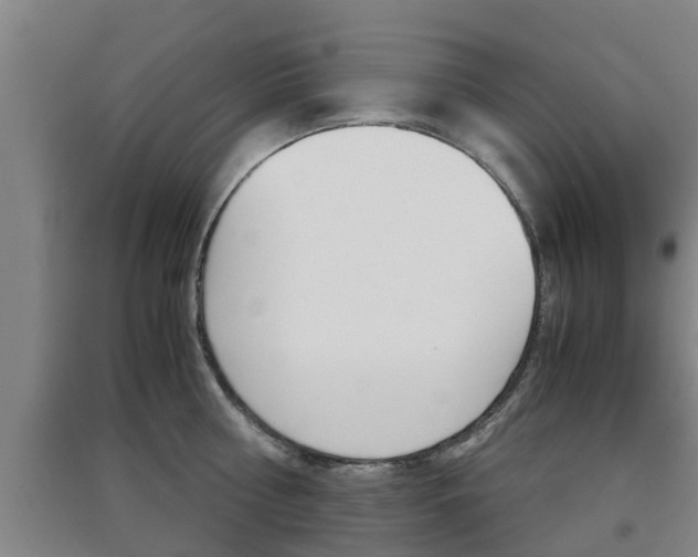 X0000091550810200708171040