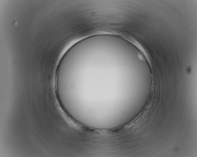 X0000091550811200708171039