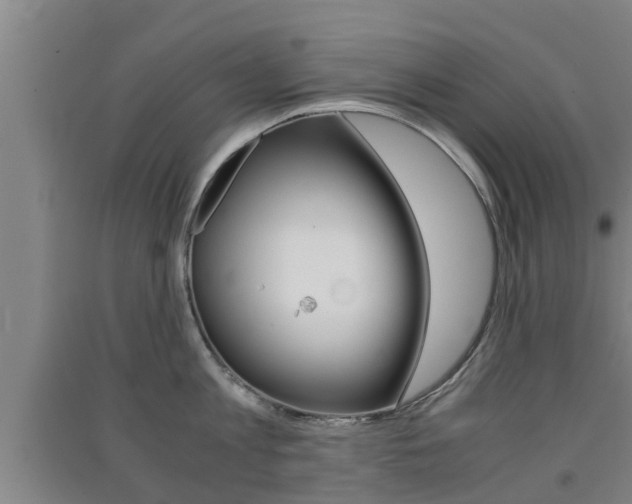 X0000091550813200708171039